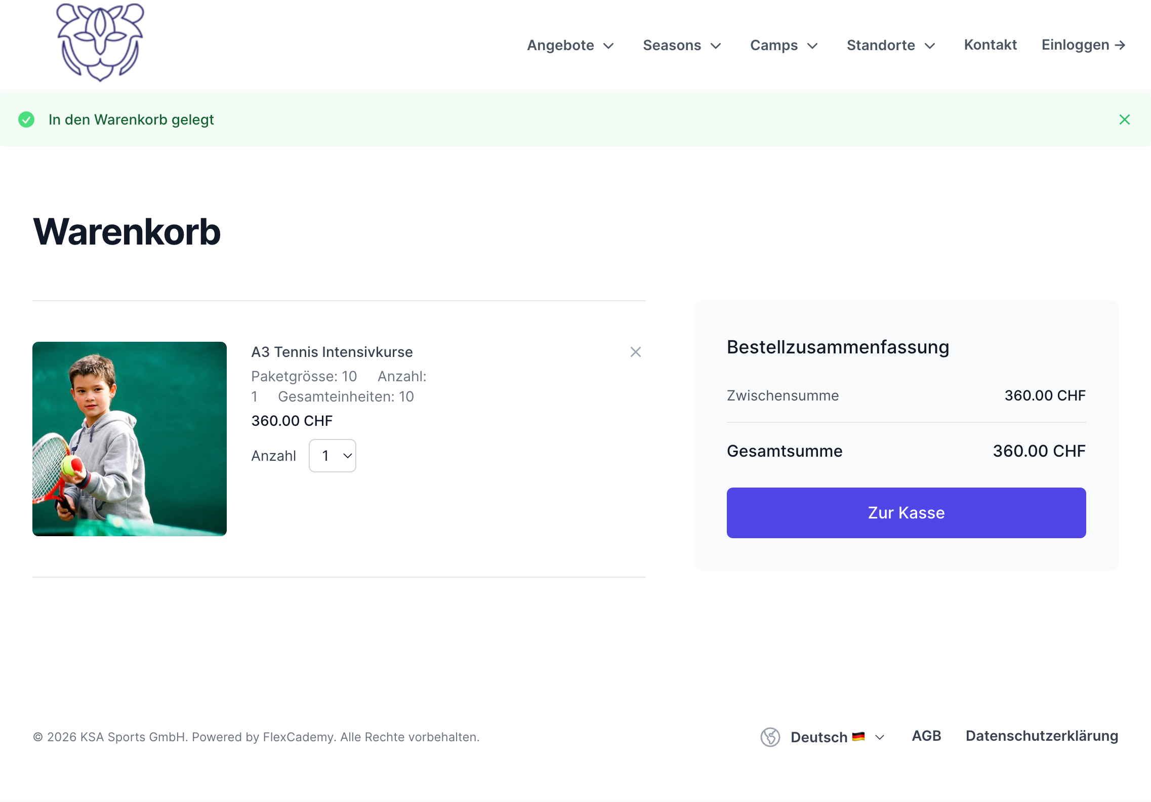 Warenkorb und Checkout mit Stripe